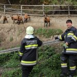 Feistritztalübung, 05.10.2019