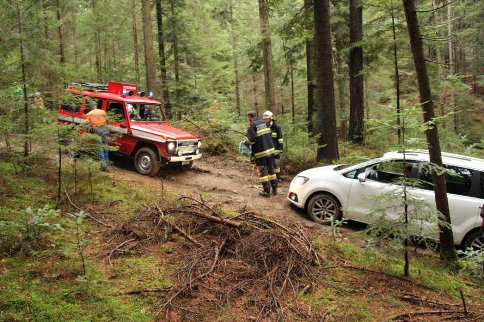 Einsatz Sellhof, 16.11.2019