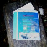 Kleinbrand_2021-07-02