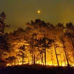 waldbrand_10-21