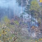 waldbrand_10-21