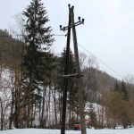 baum_molz_2023-02-04