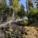 waldbrand_schwarzau_2025
