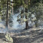 waldbrand_schwarzau_2025