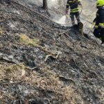 waldbrand_schwarzau_2025