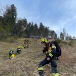waldbrand_schwarzau_2025