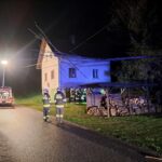 Baum auf Stromleitung, 2025-04-17