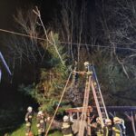 Baum auf Stromleitung, 2025-04-17