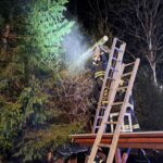 Baum auf Stromleitung, 2025-04-17