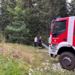 Waldbrände August 2026