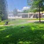 Sommerfest 2026
